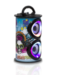 KARAOKE SPEAKER KBQ-06M