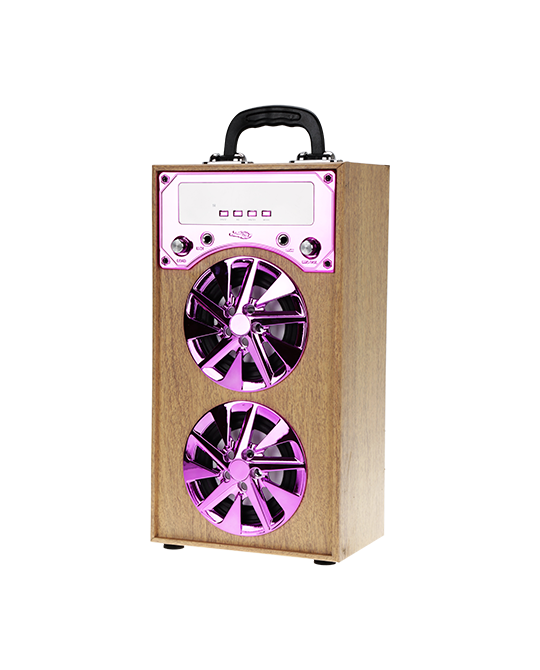 PORTABLE SPEAKER KBQ-172